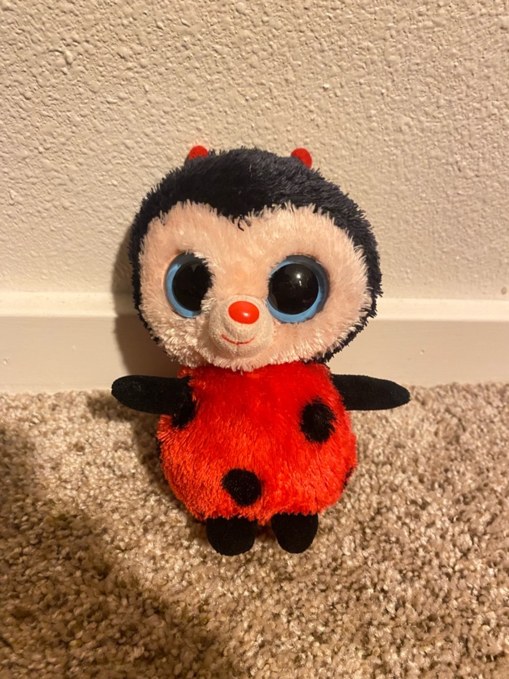 Ty Beanie Boo 6" Plush Bugsy the Ladybug Stuffed Animal